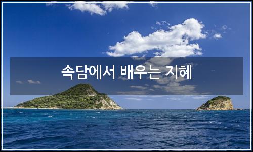 오늘의 이미지