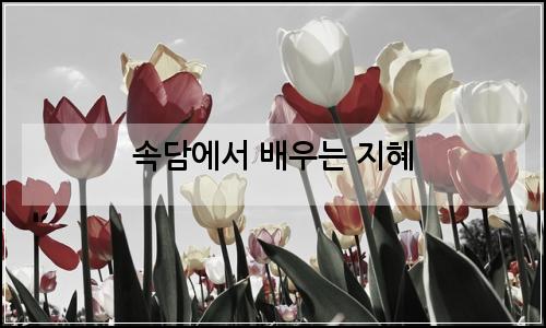오늘의 이미지