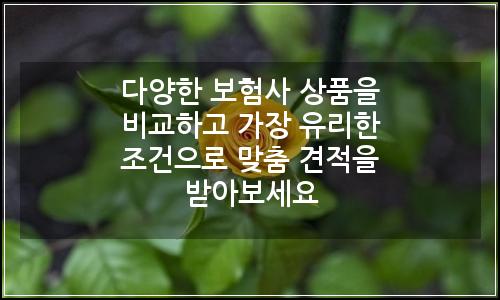 오늘의 이미지