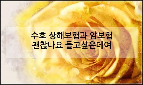 오늘의 이미지